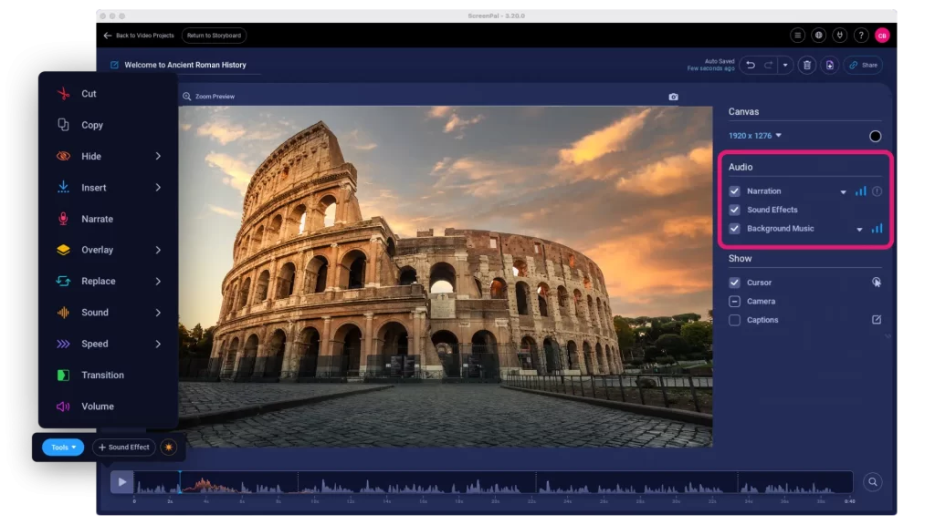 Your background music, narration, and audio layers are all visible in the global video editing tools