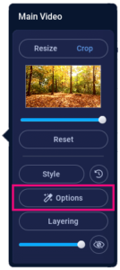 Select options to adjust video color and lighting in the video editor