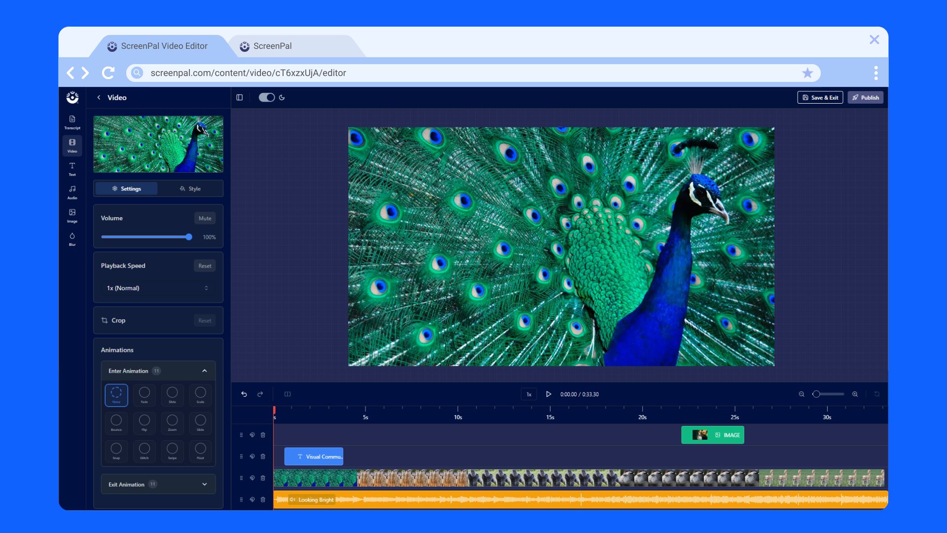 Get Started with the Online Video Editor